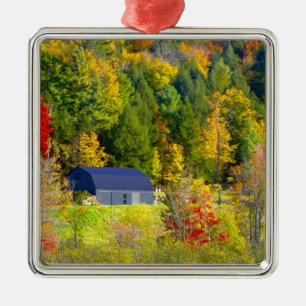 USA, Vermont. Herbstwald entlang der Autobahn 100. Silbernes Ornament