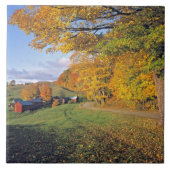 USA, Vermont, Jenne Bauernhof. Fall kommt zu Jenne Fliese (Vorderseite)
