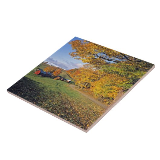 USA, Vermont, Jenne Bauernhof. Fall kommt zu Jenne Fliese (Seite)