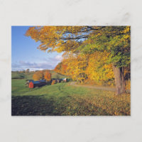 USA, Vermont, Jenne Bauernhof. Fall kommt zu Jenne