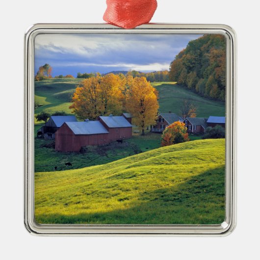 USA, Vermont, Jenne Bauernhof. Rollende grüne Silbernes Ornament (Vorne)