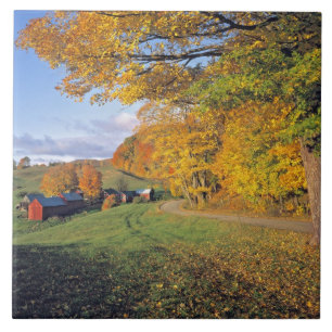 USA, Vermont, Jenne Farm. Der Herbst kommt nach Je Fliese