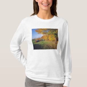 USA, Vermont, Jenne Farm. Der Herbst kommt nach Je T-Shirt