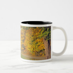 USA, Vermont, Jenne Farm. Der Herbst kommt nach Je Zweifarbige Tasse