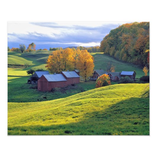 USA, Vermont, Jenne Farm. Grüne Hügel Fotodruck (Vorne)