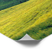 USA, Vermont, Jenne Farm. Grüne Hügel Poster (Ecke)