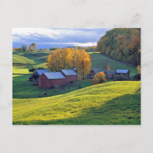 USA, Vermont, Jenne Farm. Grüne Hügel Postkarte