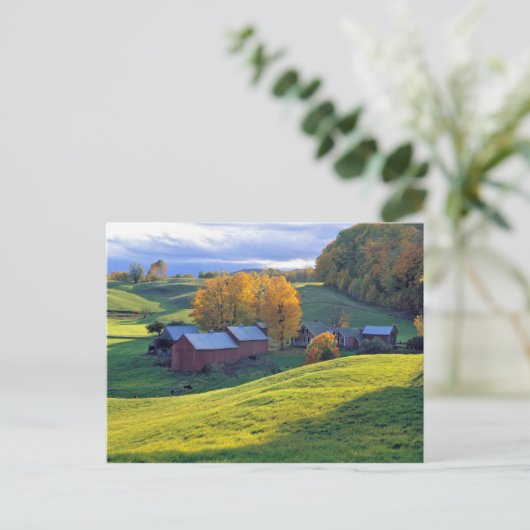 USA, Vermont, Jenne Farm. Grüne Hügel Postkarte (Stehend Vorderseite)
