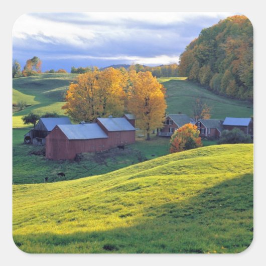 USA, Vermont, Jenne Farm. Grüne Hügel Quadratischer Aufkleber (Vorderseite)