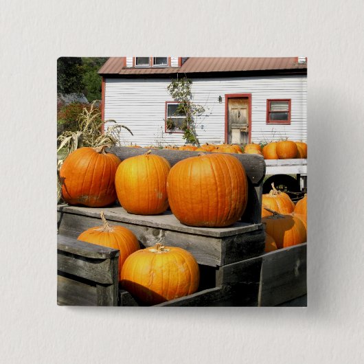USA, Vermont.Kürbis Button (Vorderseite)