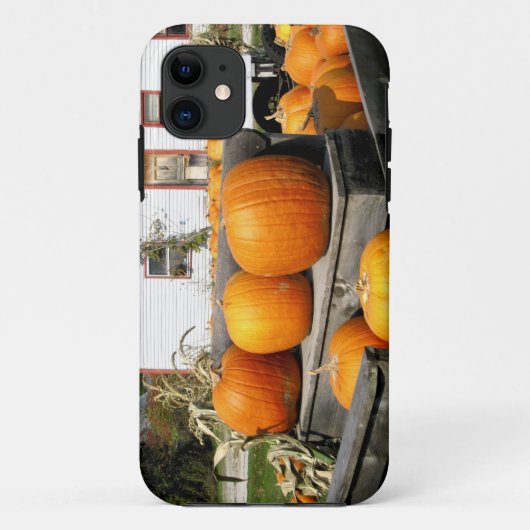 USA, Vermont.Kürbis Case-Mate iPhone Hülle (Rückseite)