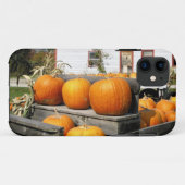 USA, Vermont.Kürbis Case-Mate iPhone Hülle (Rückseite (Horizontal))
