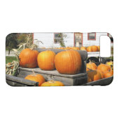 USA, Vermont.Kürbis Case-Mate iPhone Hülle (Rückseite (Horizontal))