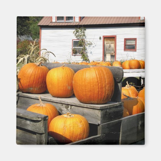 USA, Vermont. Kürbis Magnet (Vorne)