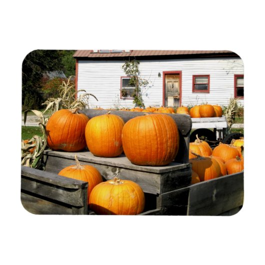 USA, Vermont. Kürbis Magnet (Horizontal)