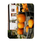 USA, Vermont. Kürbis Magnet (Vertikal)