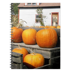 USA, Vermont.Kürbis Notizblock