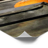 USA, Vermont. Kürbis Poster (Ecke)