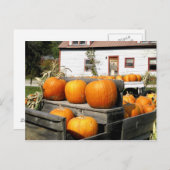 USA, Vermont. Kürbis Postkarte (Vorne/Hinten)