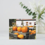 USA, Vermont. Kürbis Postkarte (Stehend Vorderseite)