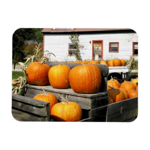 USA, Vermont. Kürbisse Magnet