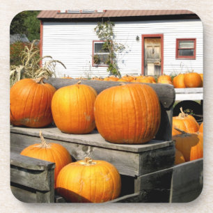USA, Vermont. Kürbisse Untersetzer