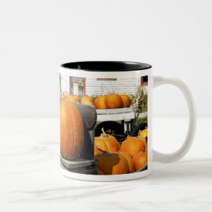 USA, Vermont. Kürbisse Zweifarbige Tasse