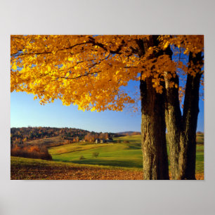 USA, Vermont. Landschafliche Farm in der Nähe von Poster