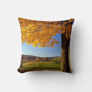USA, Vermont. Malerische Farm bei South Woodstock Kissen