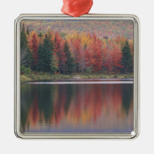 USA, Vermont, McAllister Lake, nahe Hazens Notch Silbernes Ornament