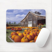 USA, Vermont, Shelbourne, Kürbise Mousepad (Mit Mouse)