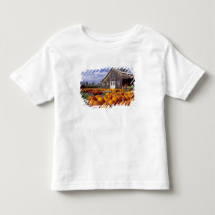 USA, Vermont, Shelbourne, Kürbisse Kleinkind T-shirt