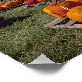 USA, Vermont, Shelbourne, Pumpkins Poster (Ecke)