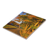 USA, Vermont, South Woodstock Fliese (Seite)