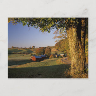 USA, Vermont, südlich von Woodstock, Jenne Farm be Postkarte
