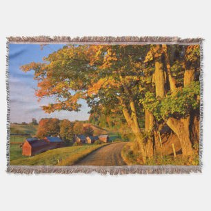 USA, Vermont, SüdWoodstock Decke