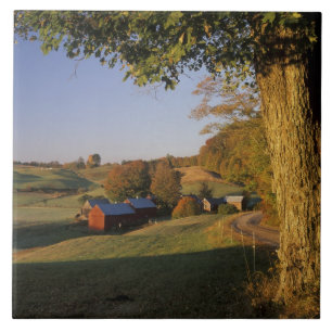 USA, Vermont, SüdWoodstock, Jenne Bauernhof an Fliese