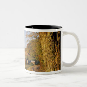 USA, Vermont, SüdWoodstock, Jenne Bauernhof an Zweifarbige Tasse