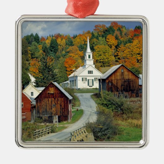 USA, Vermont, Waits River. Blattwerk Silbernes Ornament (Vorne)