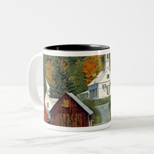 USA, Vermont, Waits River. Blattwerk Zweifarbige Tasse (Vorderseite Links)