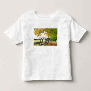 USA, Vermont. Zaun unter Herbstlaub. Kleinkind T-shirt