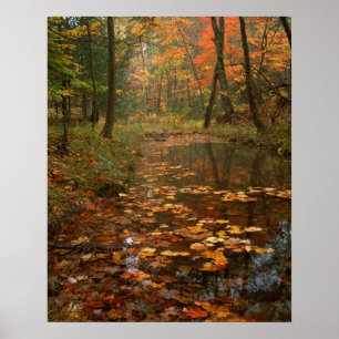 USA, Virginia, Autumn In Douthat State Park Poster