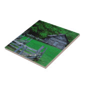 USA, Virginia, Blue Ridge Parkway, The Puckett Fliese (Seite)