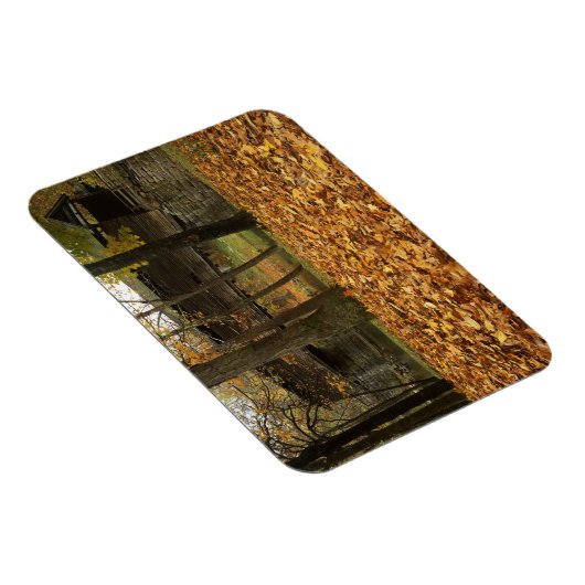 USA, Virginia, Covington, Humpback Covered Magnet (Rechte Seite)