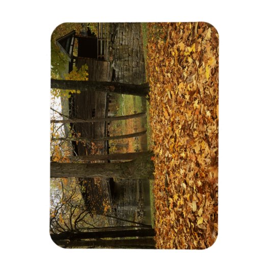 USA, Virginia, Covington, Humpback Covered Magnet (Vertikal)