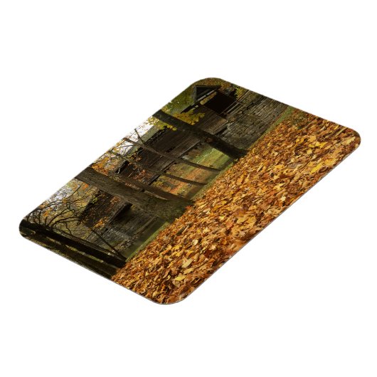 USA, Virginia, Covington, Humpback Covered Magnet (Linke Seite)