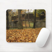 USA, Virginia, Covington, Humpback Covered Mousepad (Mit Mouse)