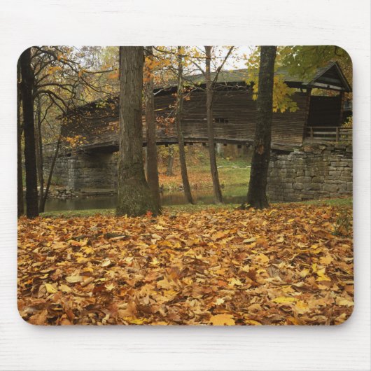 USA, Virginia, Covington, Humpback Covered Mousepad (Vorne)