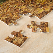 USA, Virginia, Covington, Humpback Covered Puzzle (Seite)