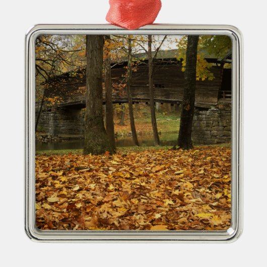 USA, Virginia, Covington, Humpback Covered Silbernes Ornament (Vorne)